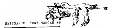 naissance d'un Morgan +8 002.jpg