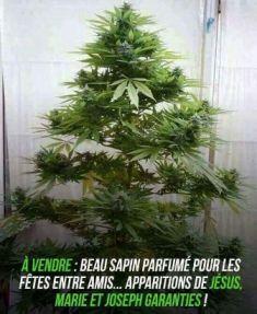 Sapin de noel small 3.jpg