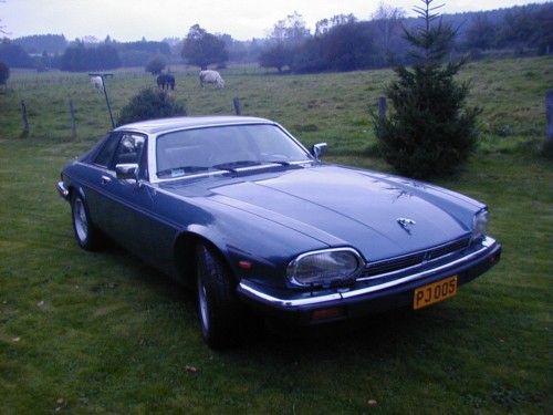 Jag XJ-S 1.JPG