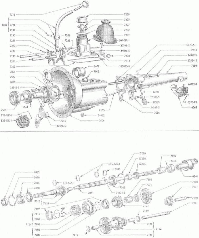 plate11_f73ed4 (1).jpeg