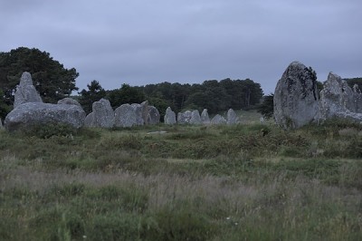 D700_101.jpg