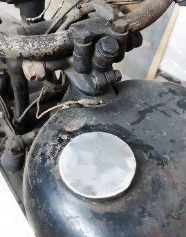 M20230217_115938.jpg